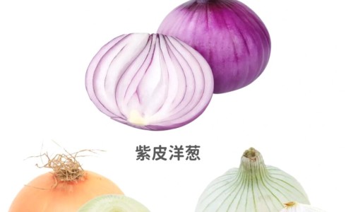 拉萨藏药批发市场在哪里-【拉萨中药材批发市场】拉萨市藏中药批发市场地址 - 拉萨市藏中药批发网