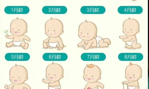 拉萨藏药店-【拉萨中药材批发市场】拉萨市藏中药批发市场地址 - 拉萨市藏中药批发网